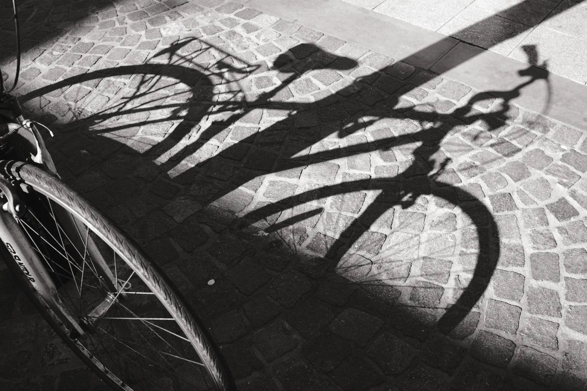 The wheels and frame of a bicycle cast overlapping shadows across cobbles.