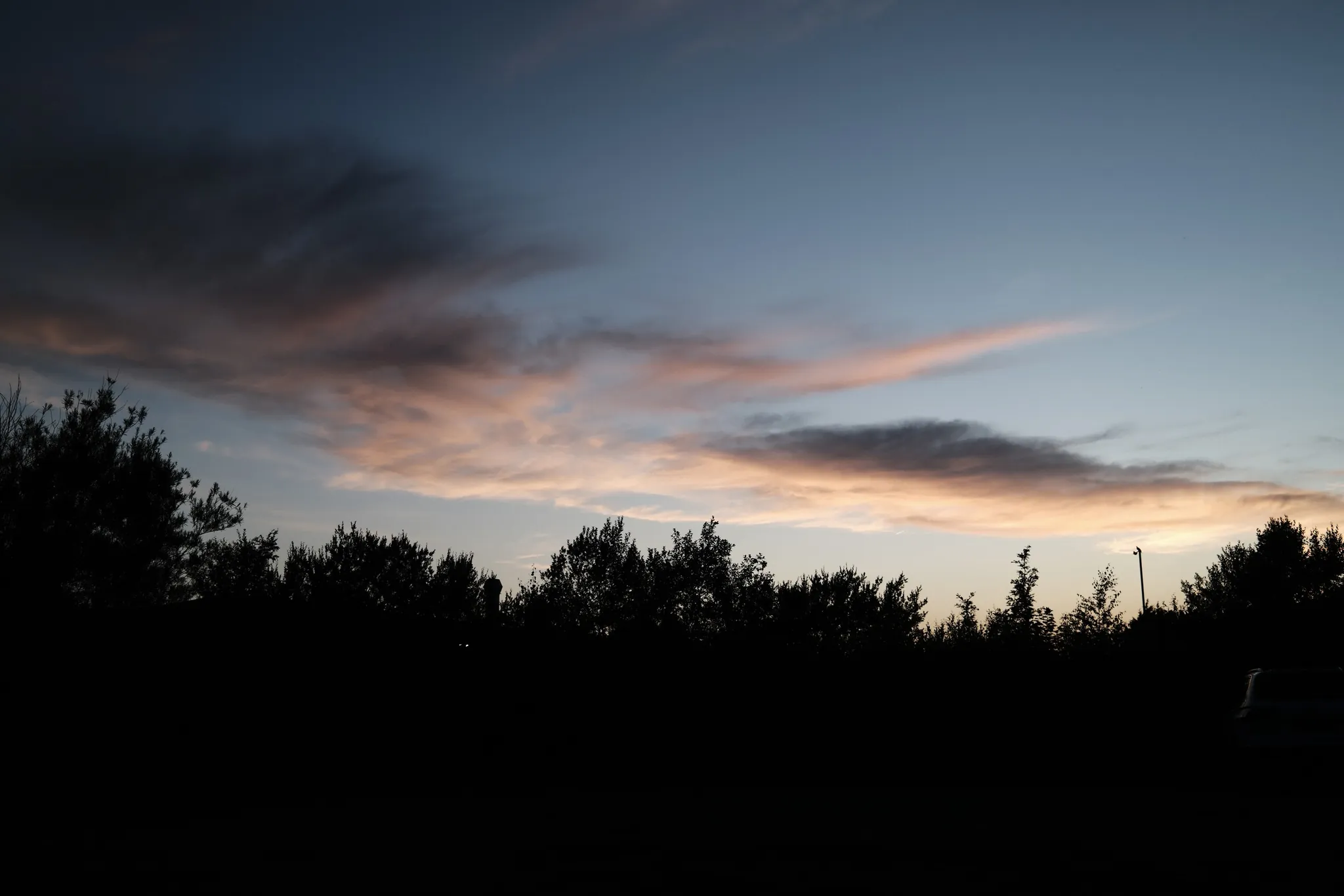A dark treeline beneath streaks of evening cloud.