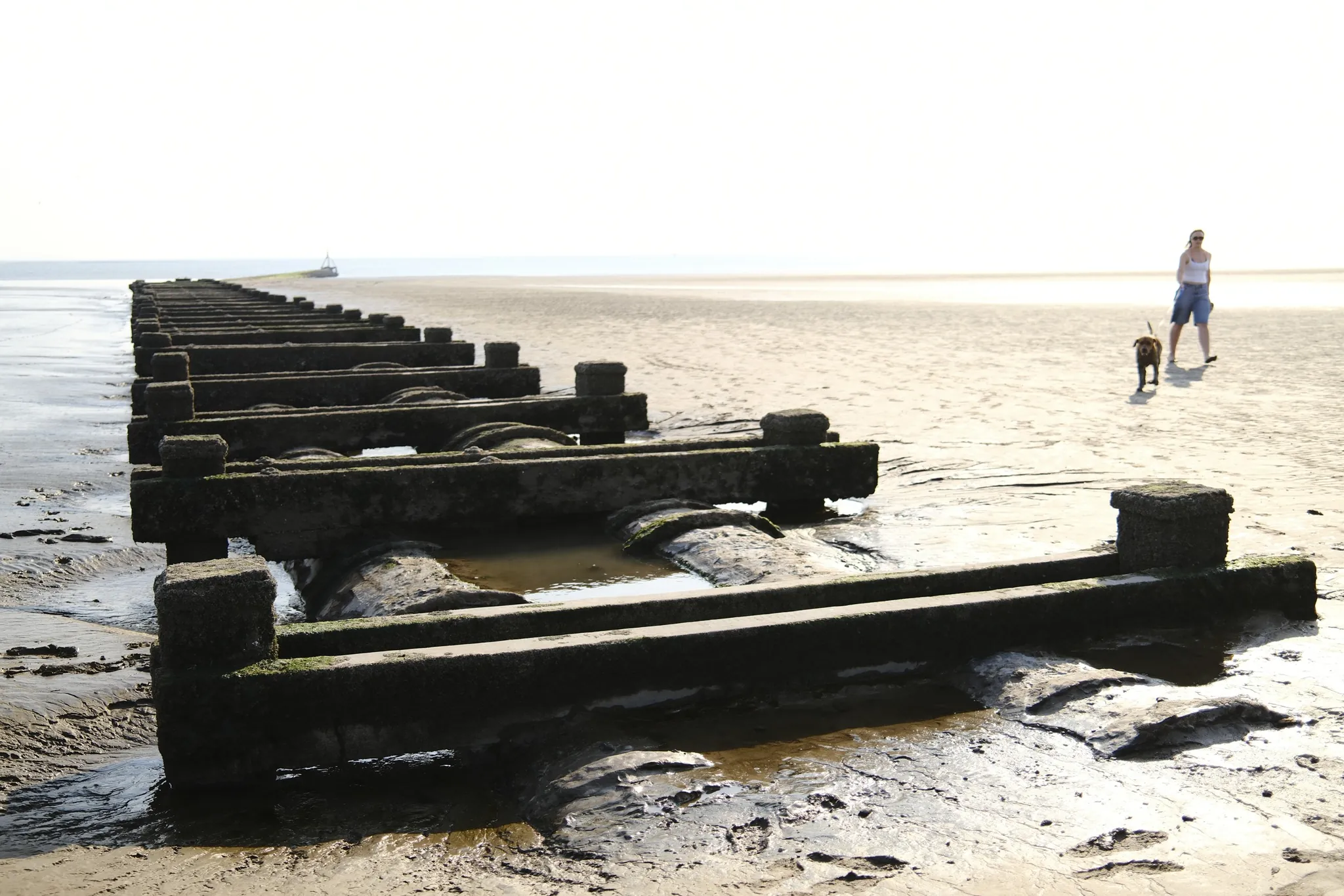 Weathered wooden groynes extending across the sand towards the sea.