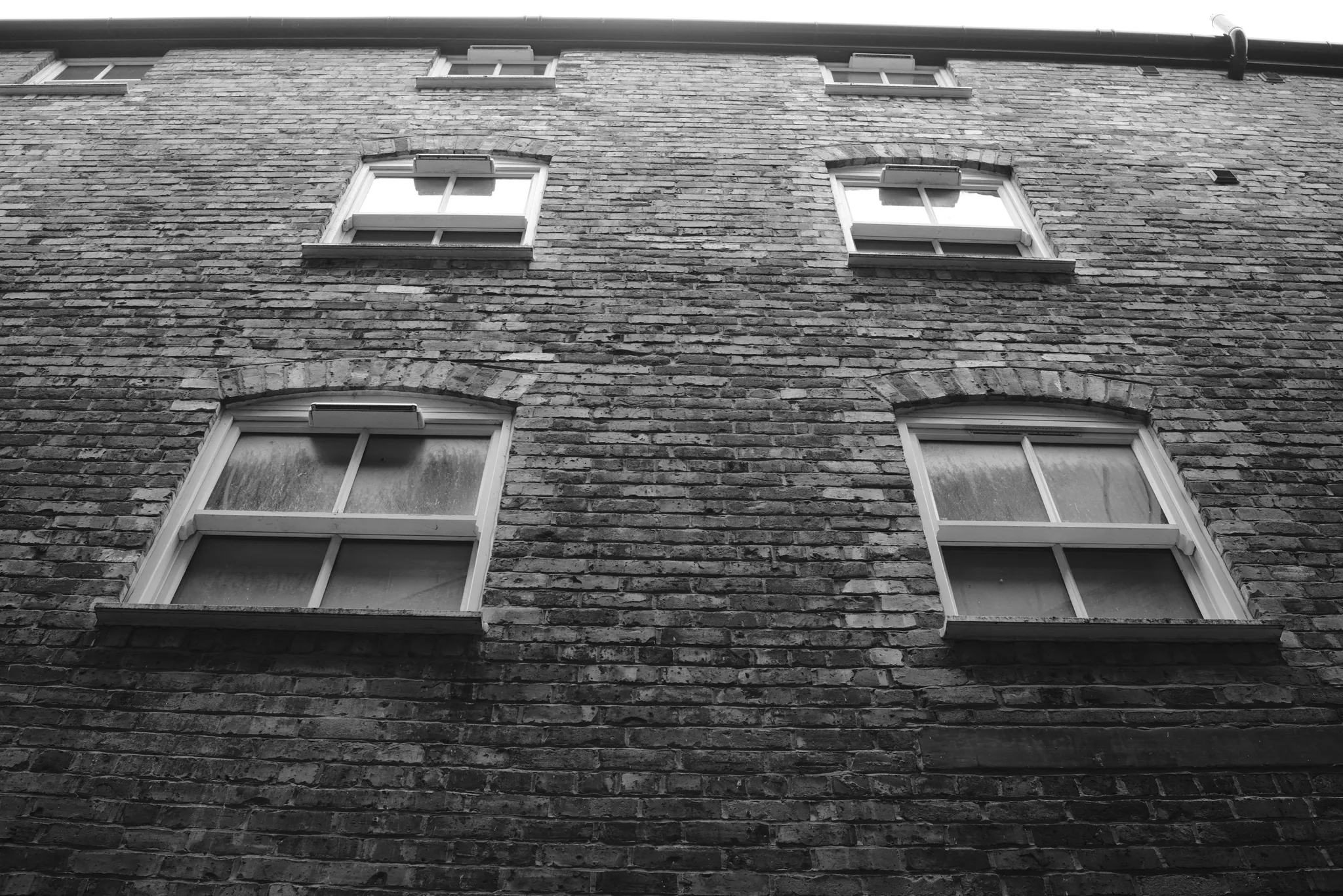 Rows of sash windows above a low viewpoint, in black and white.