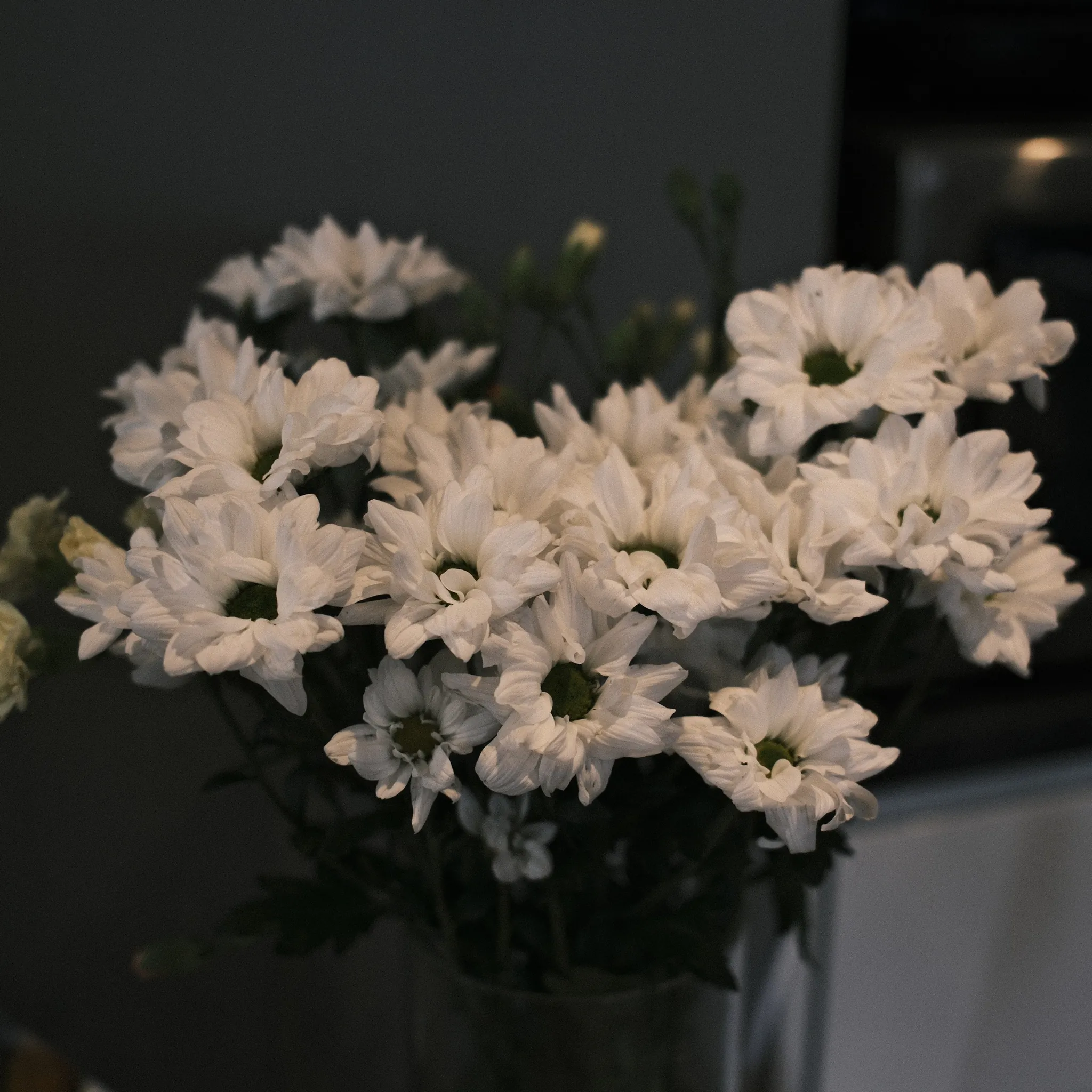 A bunch of white flowers against a dark interior.