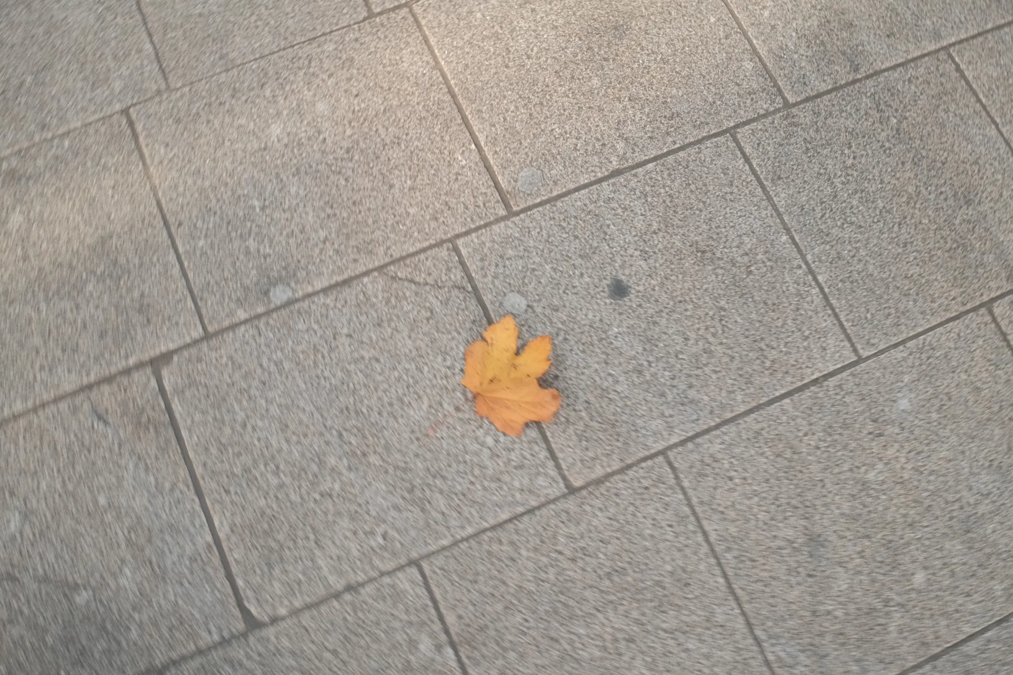 A single yellow leaf rests on grey paving stones.