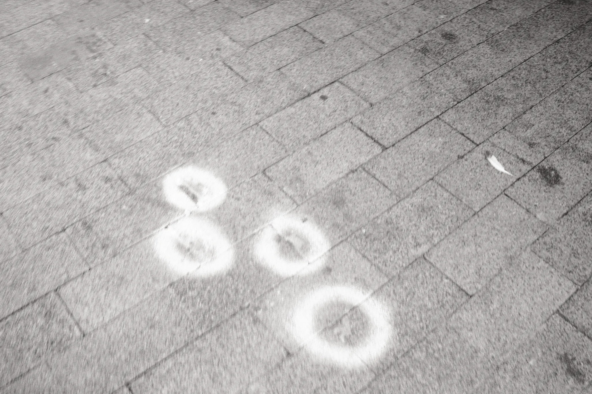 Small rings of reflected light gather on the pavement.