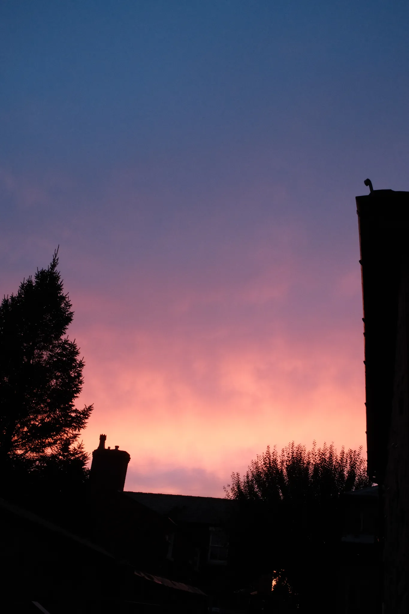 Pink and orange evening light fades into blue above dark rooftops and trees.