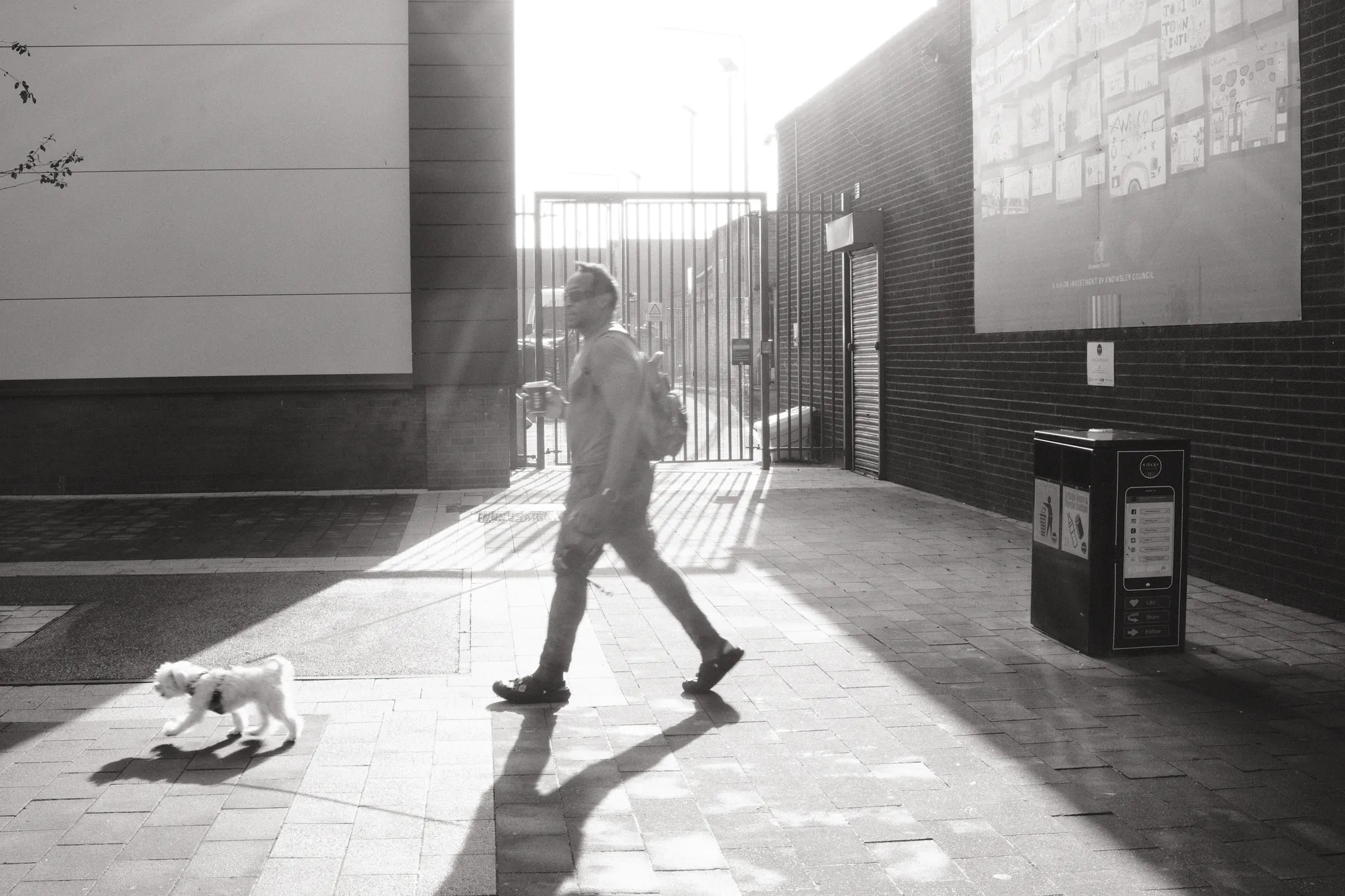 A dog and its walker cross a sharply divided patch of sunlight and shadow.